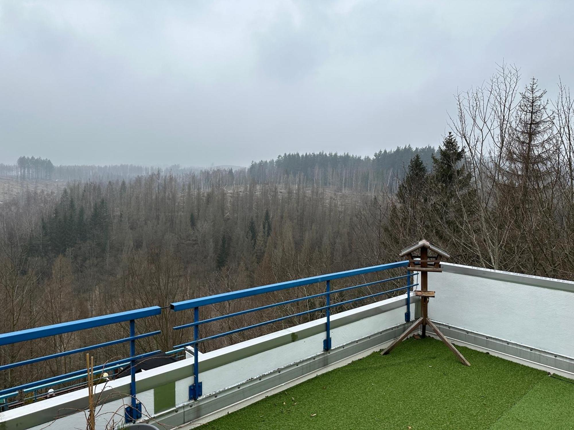 Ferienwohnung Harz #4, Pool, Sauna, Wlan Braunlage Buitenkant foto